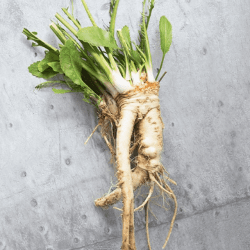 Benefits the heart, reduces weight, and protects against cancer. These are the benefits of horseradish