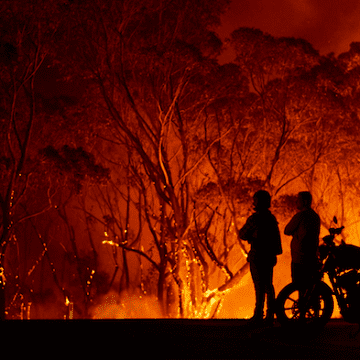 New Zealand and Papua New Guinea have made available a part of their army to fight fires in Australia