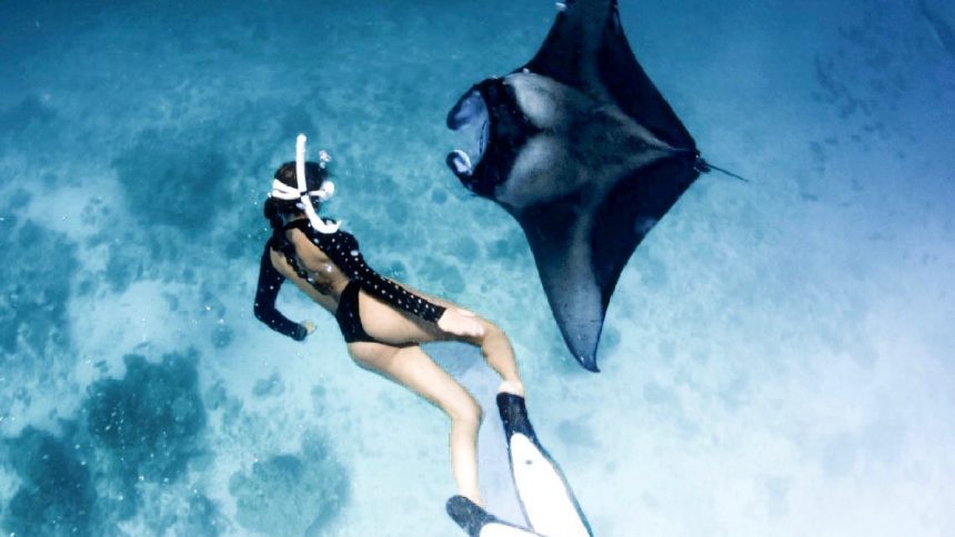 From Swimming with Sharks to Leading Ocean Expeditions and Debunking Common Myths – Carla Virgos Is Determined to Alter the Way We See Oceanic Life