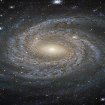 Exploring the Wonders of Science: From Microcosms to Cosmos